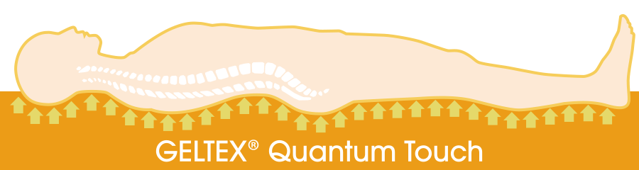 シェララフィア技術力画像1