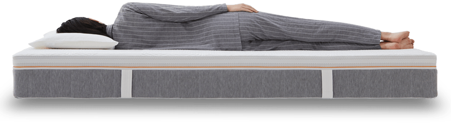 シェララフィア技術力画像2